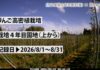 2026年8月園地の様子！【定点カメラ】【りんご高密植栽培試験園】