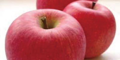 りんごの栄養画像