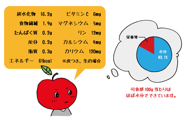 りんごの栄養画像