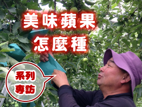 おいしいりんごの育て方台湾語